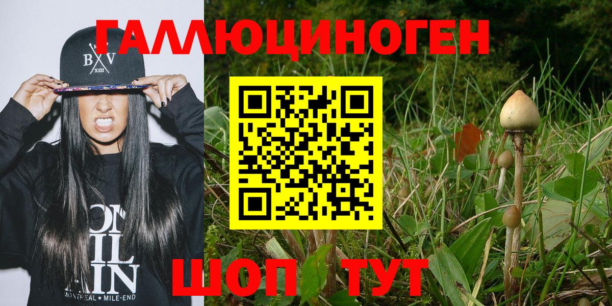 Псилоцибиновые грибы Cubensis Кубинка